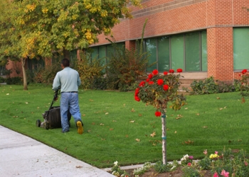 landscaping_350px.jpg